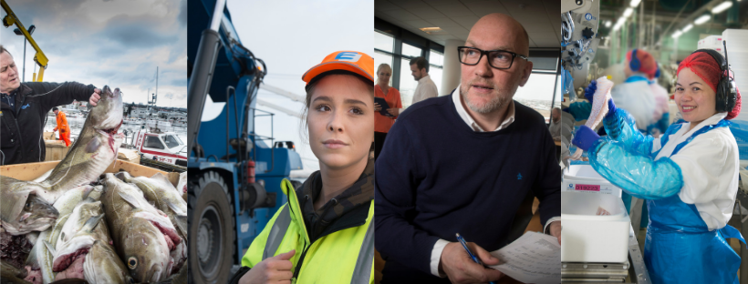 Námskeið: Kjarasamningar, friðarskylda og verkföll; 15-22 janúar 2019