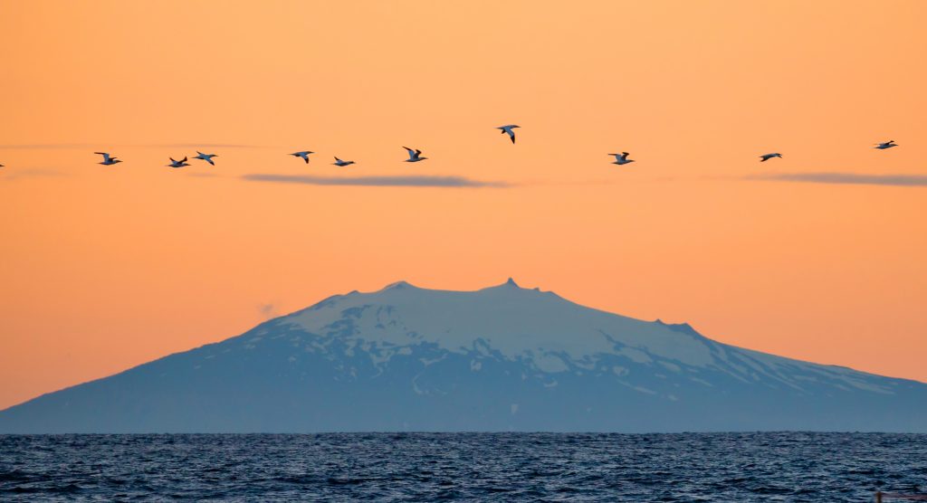 Aðalfundur Eflingar – stéttarfélags