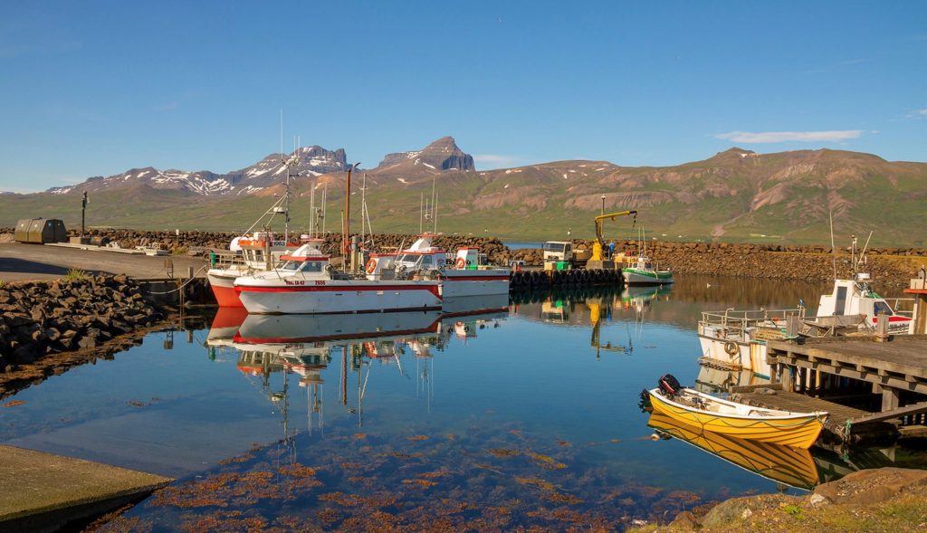 Efling styður kröfu um nýja stjórnarskrá