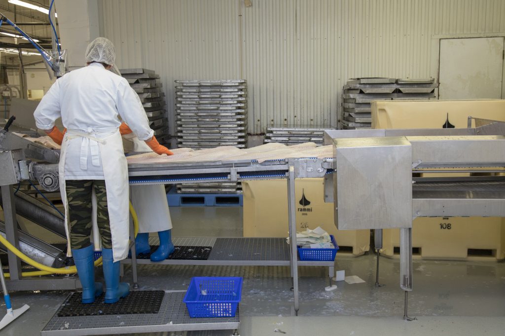 Ársskýrsla 2021-2022