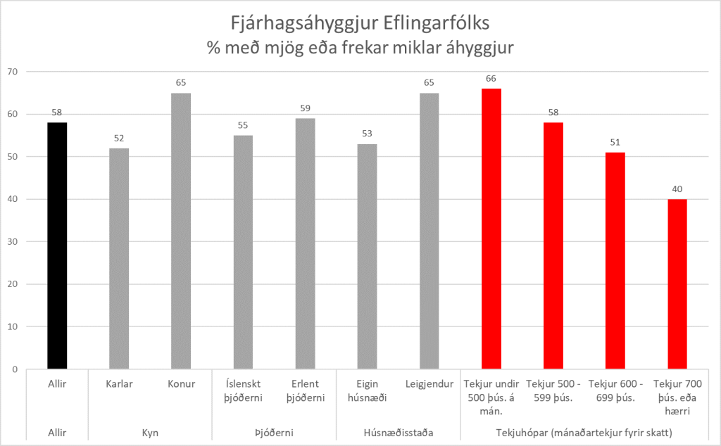 <strong>Meirihluti Eflingarfélaga með miklar fjárhagsáhyggjur</strong>
