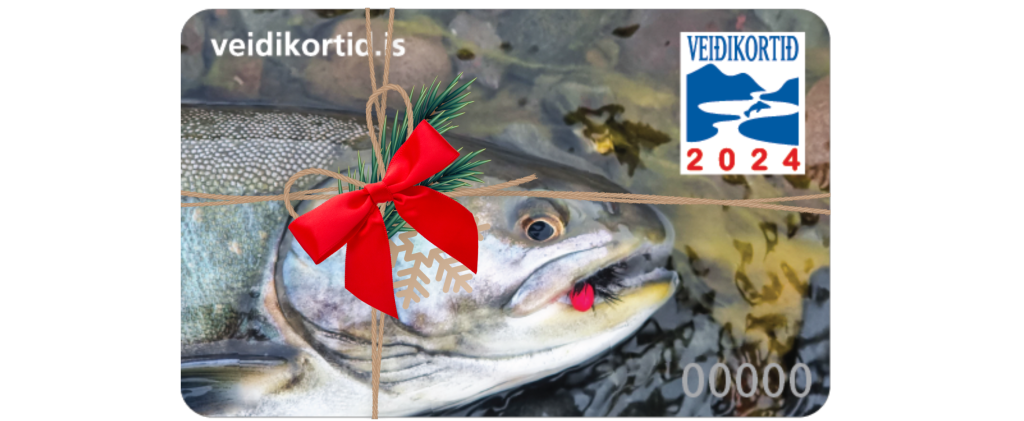 Karta wędkarska w prezencie świątecznym