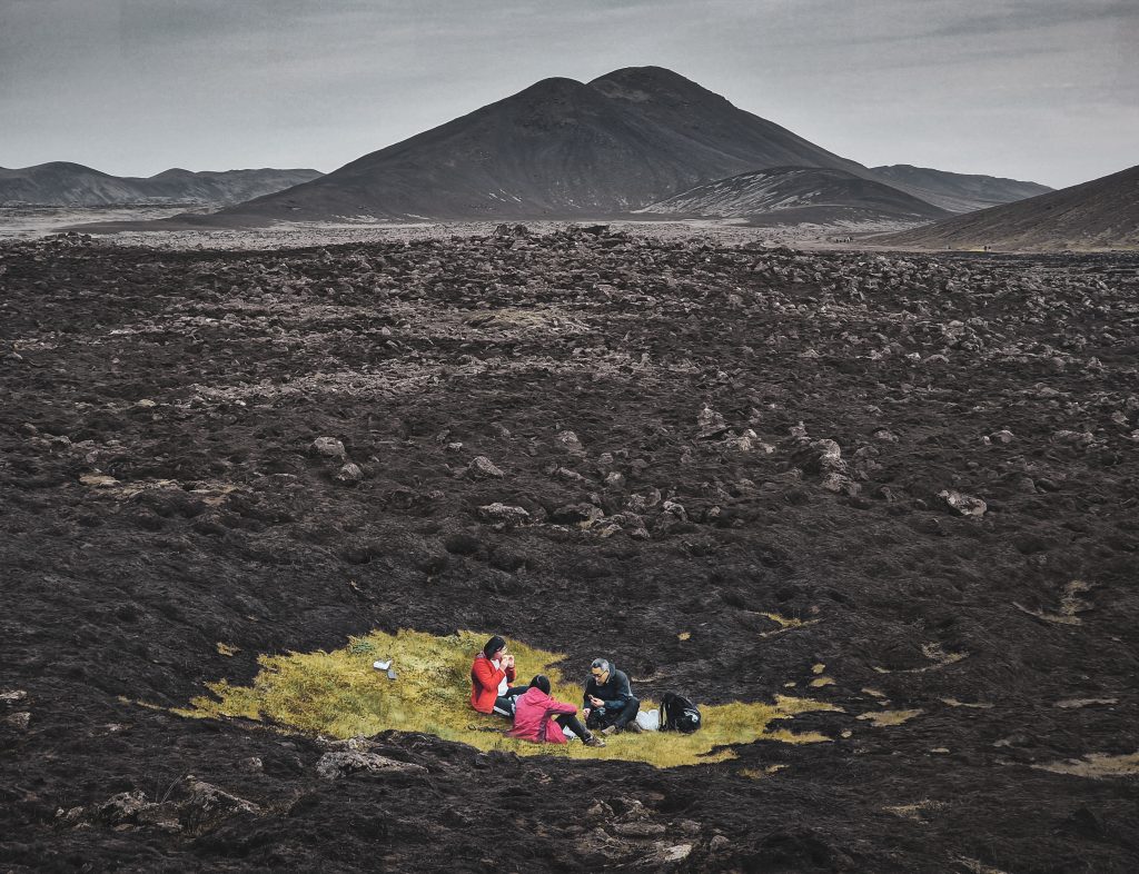 Konkurs Fotograficzny Eflingu 2024