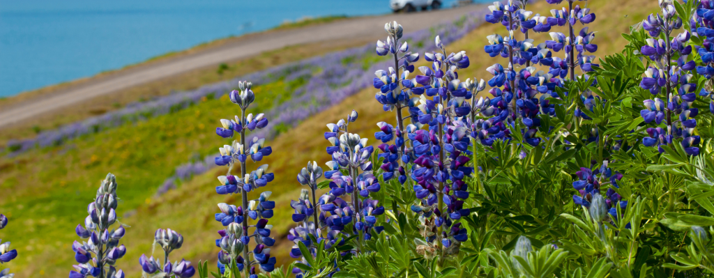 Biuro Eflingu zamknięte 25 kwietnia i skrócone godziny otwarcia 26 kwietnia