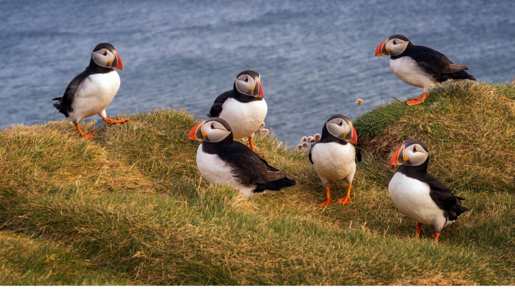 Dodatek urlopowy 2024