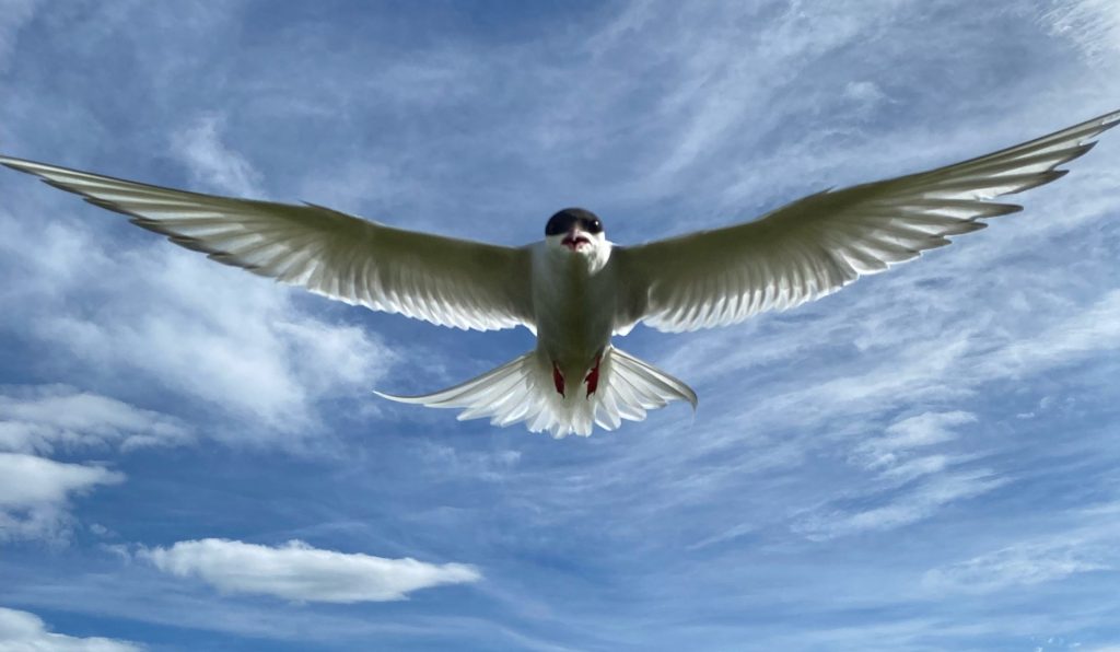 Konkurs fotograficzny Eflingu 2025 – prześlij swoje zdjęcie z wakacji